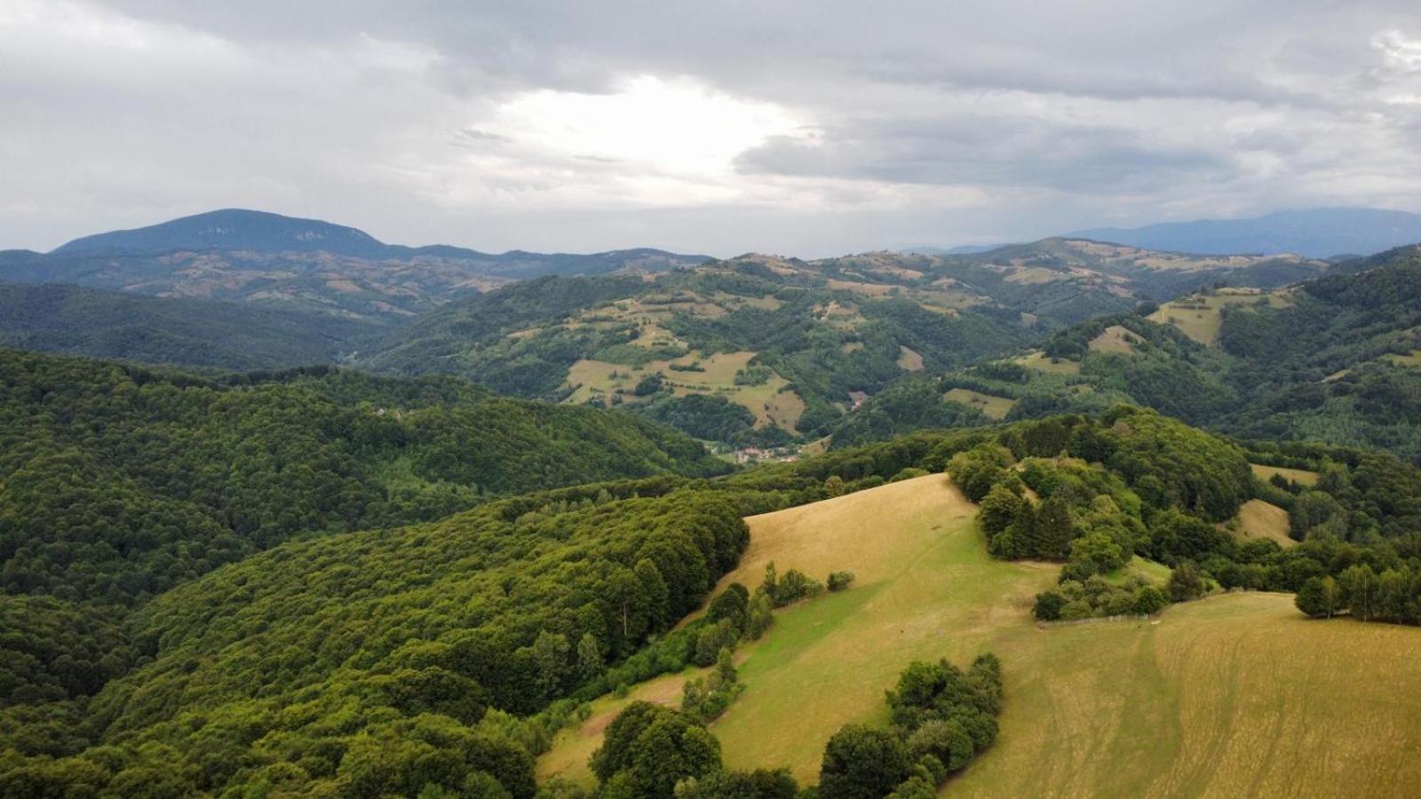 Chalet Paltinel Brasov