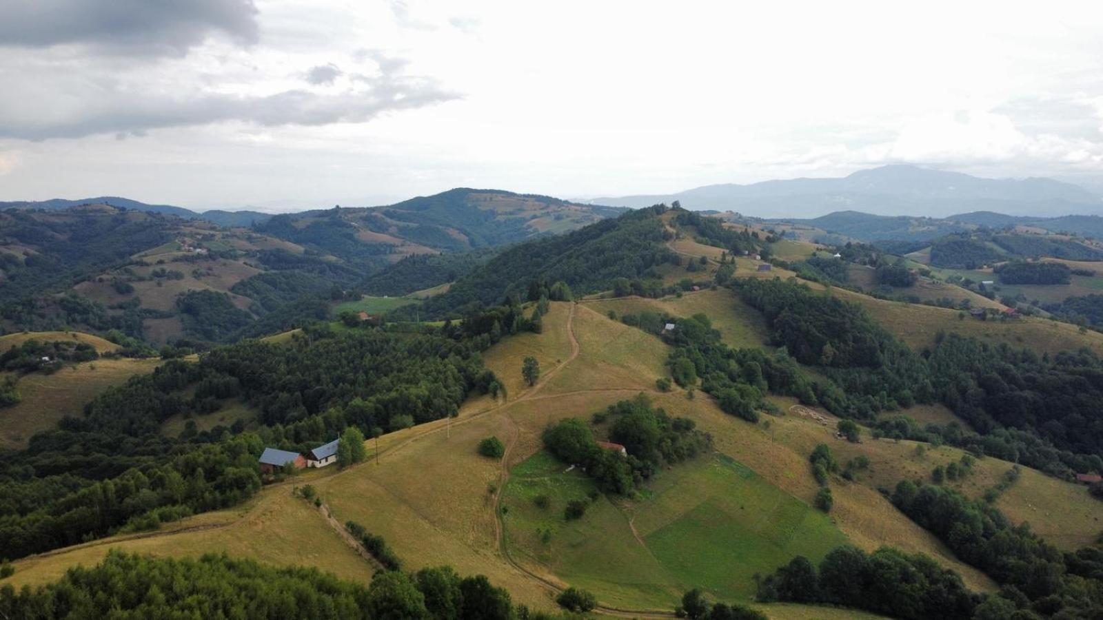Paltinel Chalet