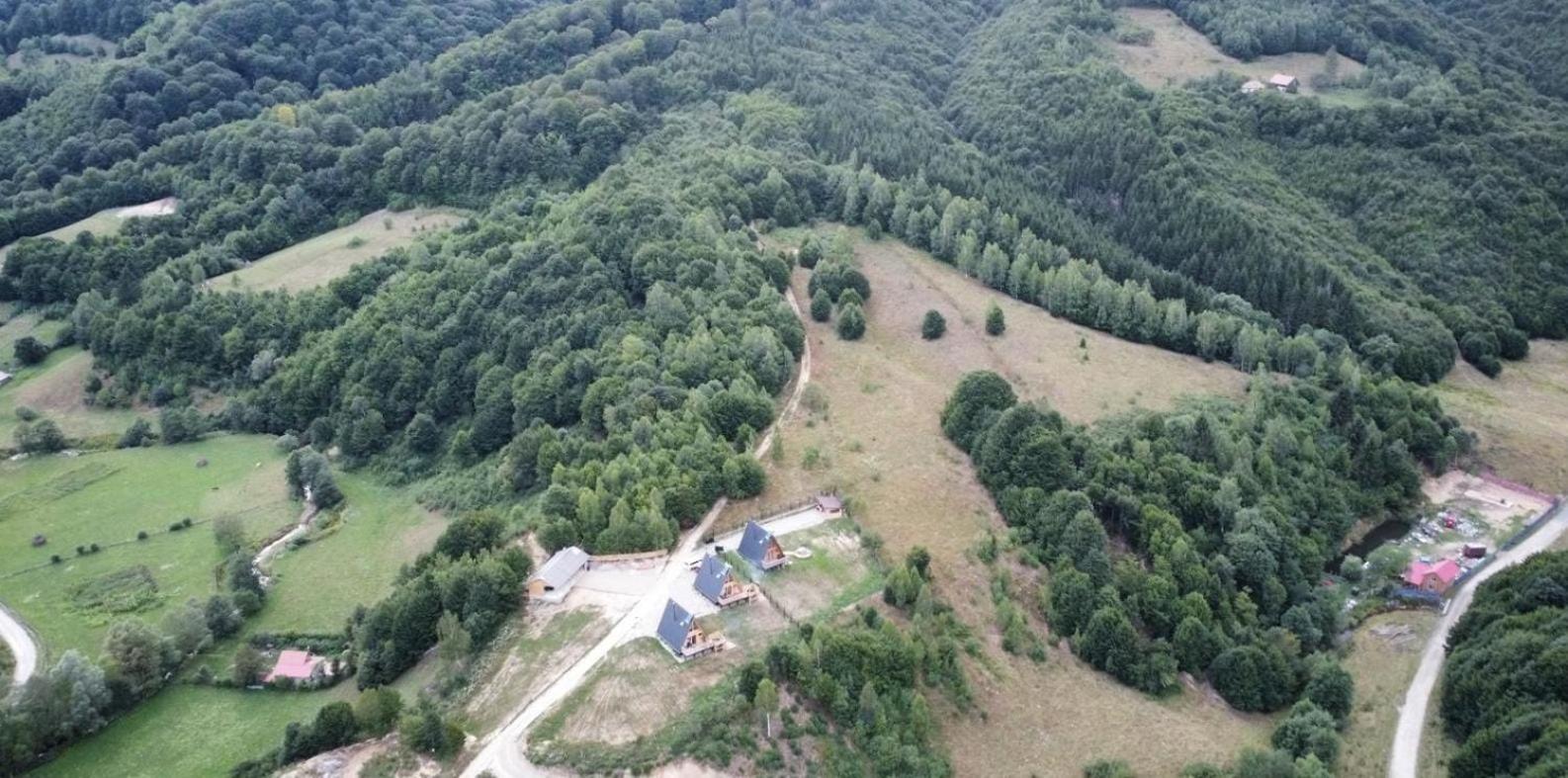 Chalet Paltinel