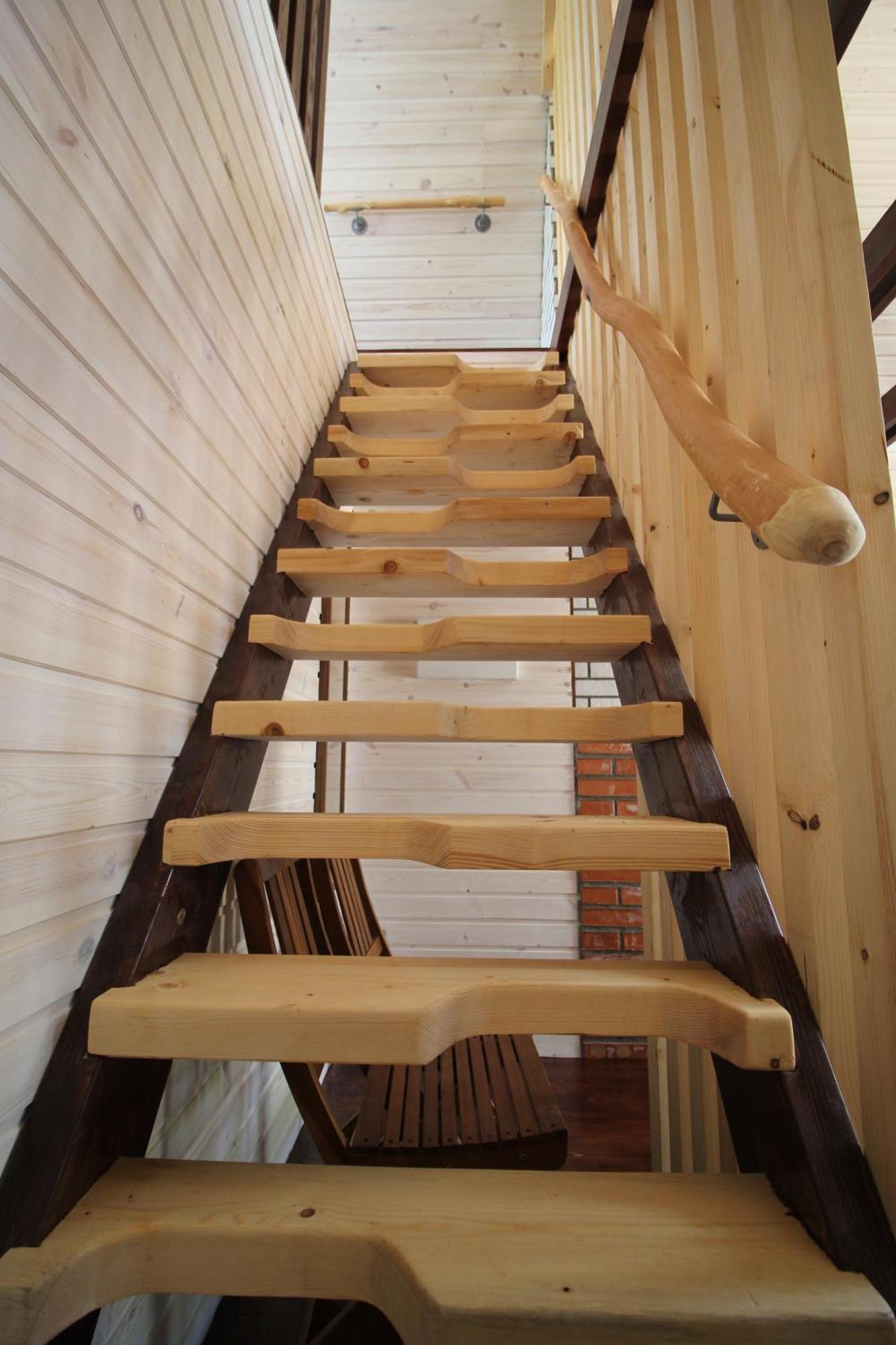 Chalet Paltinel *